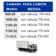 CAMARA CAMION__ficha